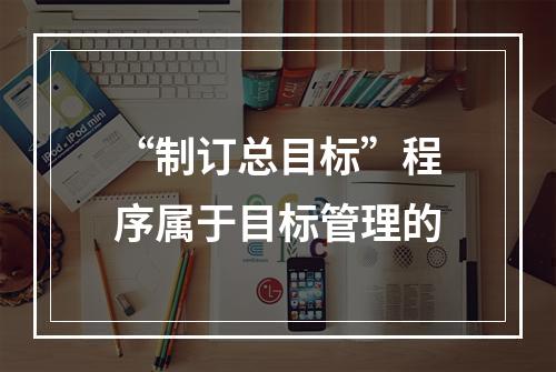 “制订总目标”程序属于目标管理的