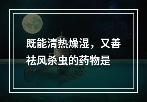 既能清热燥湿，又善祛风杀虫的药物是