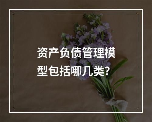 资产负债管理模型包括哪几类？