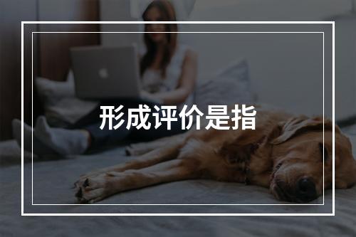 形成评价是指