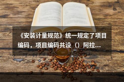 《安装计量规范》统一规定了项目编码，项目编码共设（）阿拉伯数