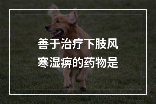 善于治疗下肢风寒湿痹的药物是