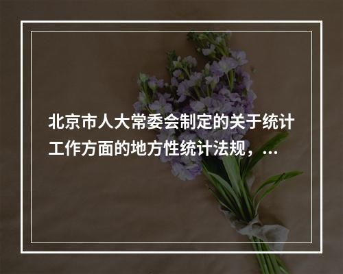 北京市人大常委会制定的关于统计工作方面的地方性统计法规，与