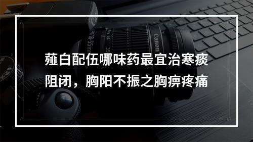 薤白配伍哪味药最宜治寒痰阻闭，胸阳不振之胸痹疼痛