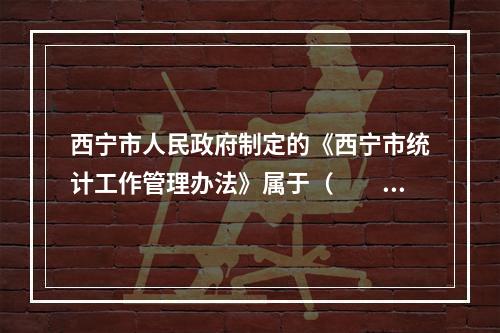 西宁市人民政府制定的《西宁市统计工作管理办法》属于（　　）