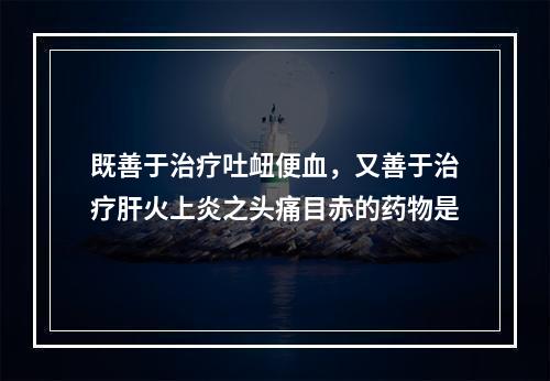 既善于治疗吐衄便血，又善于治疗肝火上炎之头痛目赤的药物是