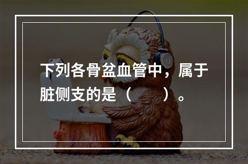 下列各骨盆血管中，属于脏侧支的是（　　）。