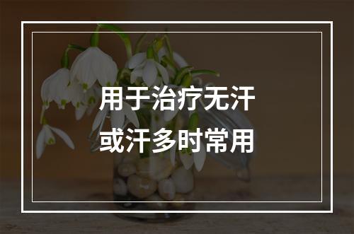 用于治疗无汗或汗多时常用