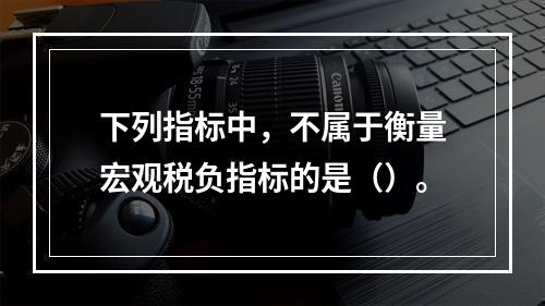 下列指标中，不属于衡量宏观税负指标的是（）。