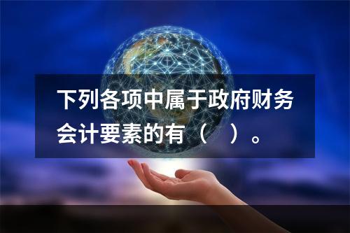 下列各项中属于政府财务会计要素的有（　）。