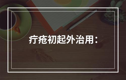 疔疮初起外治用：