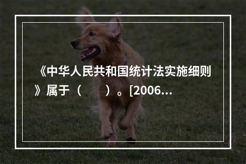 《中华人民共和国统计法实施细则》属于（　　）。[2006年