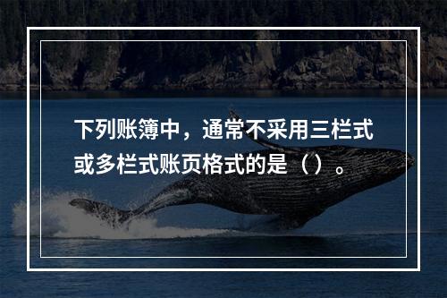 下列账簿中，通常不采用三栏式或多栏式账页格式的是（ ）。