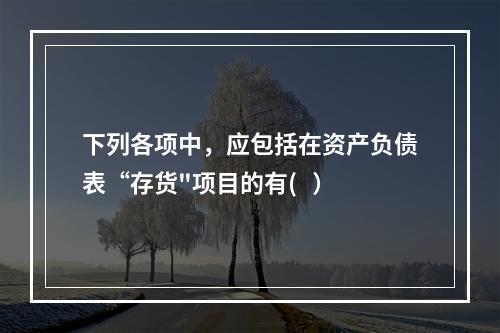 下列各项中，应包括在资产负债表“存货