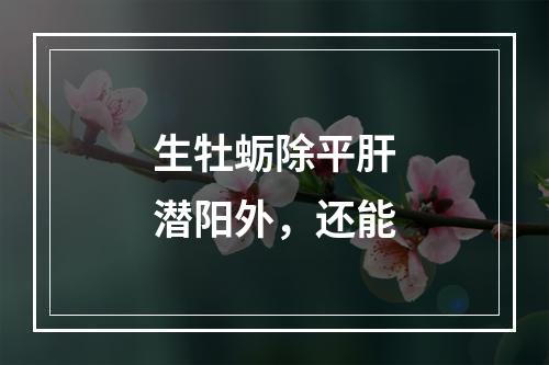 生牡蛎除平肝潜阳外，还能