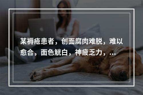 某褥疮患者，创面腐肉难脱，难以愈合，面色觥白，神疲乏力，纳差