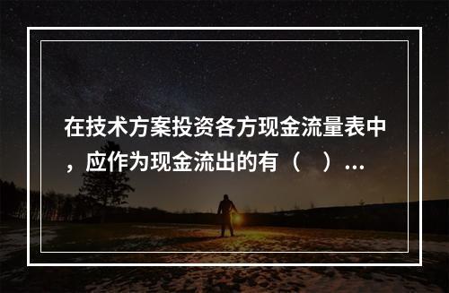 在技术方案投资各方现金流量表中，应作为现金流出的有（　）。