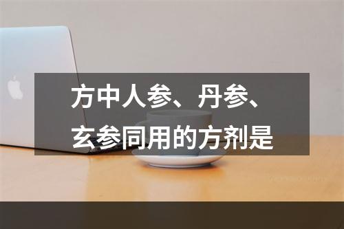 方中人参、丹参、玄参同用的方剂是