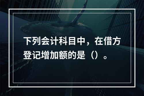 下列会计科目中，在借方登记增加额的是（）。