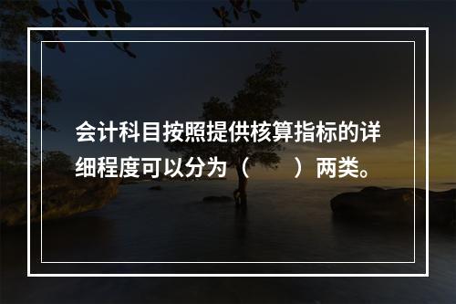 会计科目按照提供核算指标的详细程度可以分为（　　）两类。