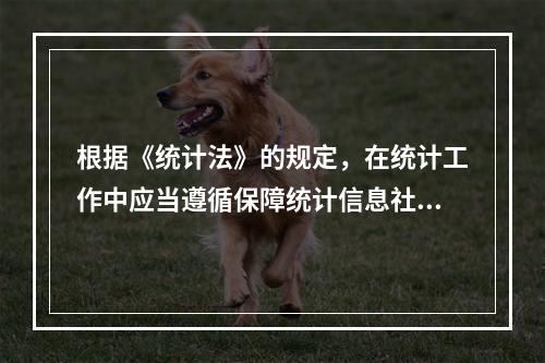 根据《统计法》的规定，在统计工作中应当遵循保障统计信息社会