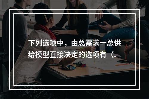 下列选项中，由总需求一总供给模型直接决定的选项有（.