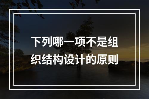 下列哪一项不是组织结构设计的原则