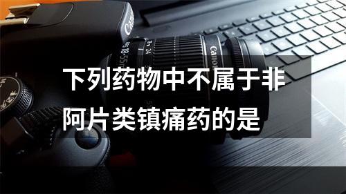 下列药物中不属于非阿片类镇痛药的是