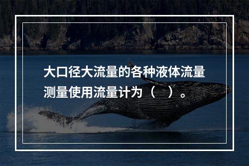 大口径大流量的各种液体流量测量使用流量计为（　）。