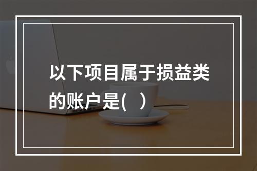 以下项目属于损益类的账户是(   ）