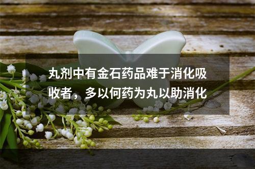 丸剂中有金石药品难于消化吸收者，多以何药为丸以助消化