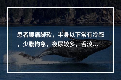 患者腰痛脚软，半身以下常有冷感，少腹拘急，夜尿较多，舌淡而胖