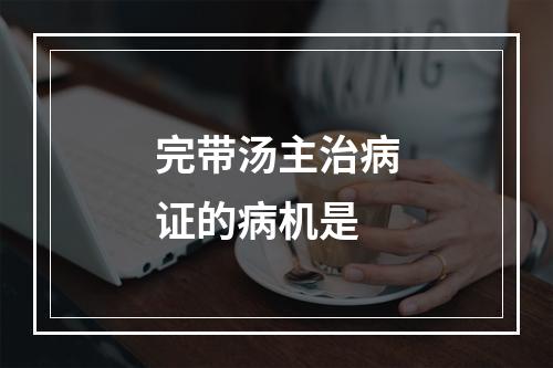 完带汤主治病证的病机是