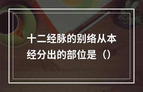 十二经脉的别络从本经分出的部位是（）