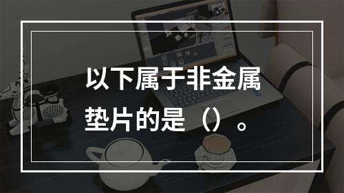 以下属于非金属垫片的是（）。