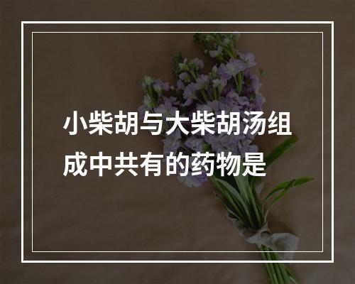 小柴胡与大柴胡汤组成中共有的药物是