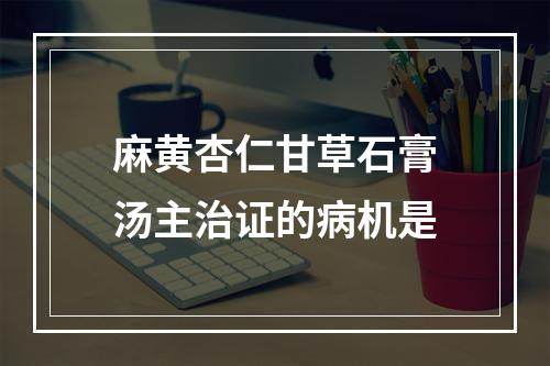 麻黄杏仁甘草石膏汤主治证的病机是