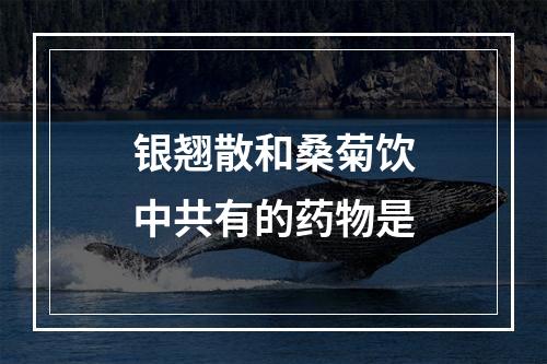 银翘散和桑菊饮中共有的药物是