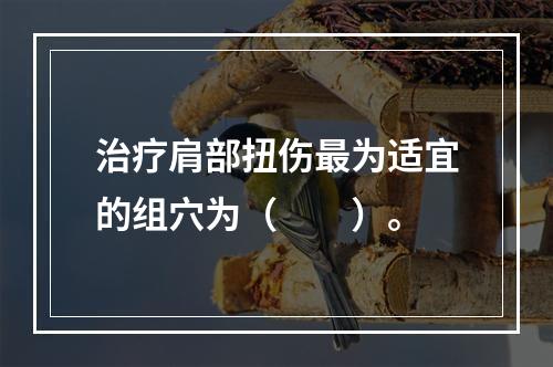 治疗肩部扭伤最为适宜的组穴为（　　）。