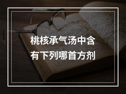 桃核承气汤中含有下列哪首方剂