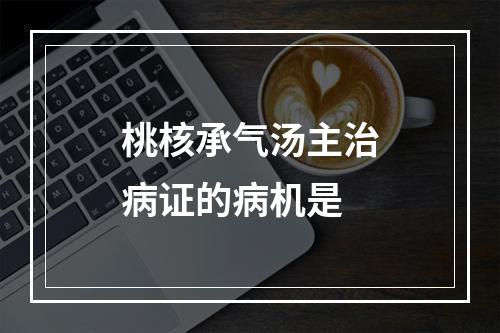 桃核承气汤主治病证的病机是