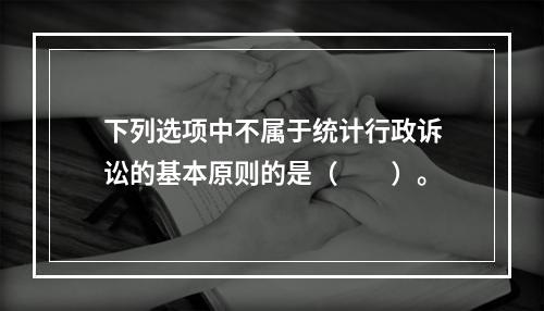 下列选项中不属于统计行政诉讼的基本原则的是（　　）。