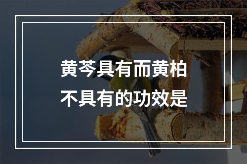 黄芩具有而黄柏不具有的功效是