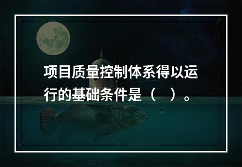 项目质量控制体系得以运行的基础条件是（　）。