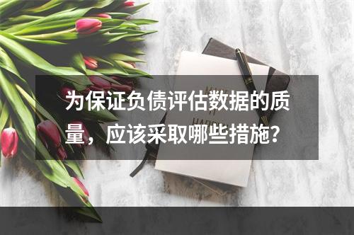 为保证负债评估数据的质量，应该采取哪些措施？