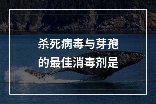 杀死病毒与芽孢的最佳消毒剂是