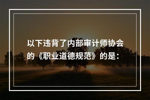 以下违背了内部审计师协会的《职业道德规范》的是：