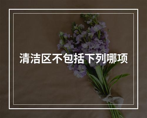 清洁区不包括下列哪项