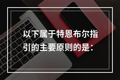 以下属于特恩布尔指引的主要原则的是：