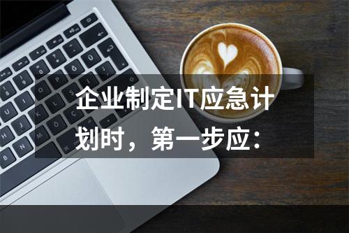 企业制定IT应急计划时，第一步应：